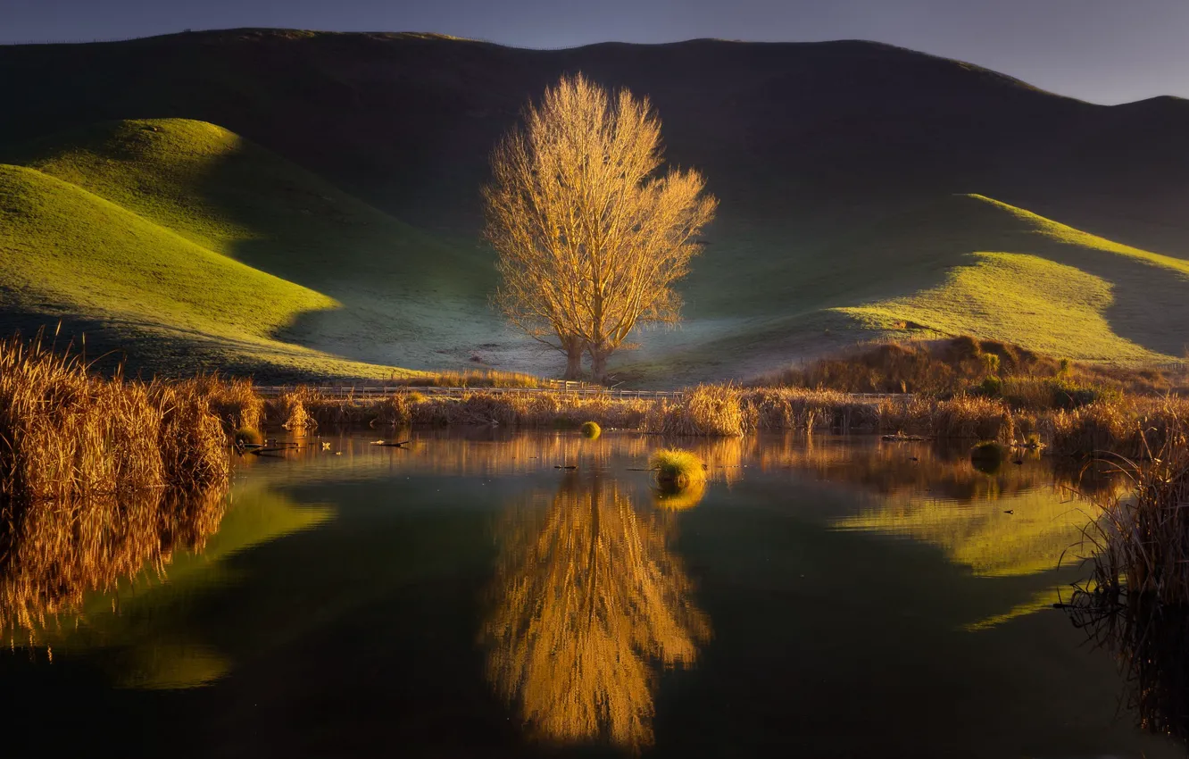 Photo wallpaper trees, lake, reflection, hills, New Zealand, New Zealand, Hawke's Bay, Hawke's Bay