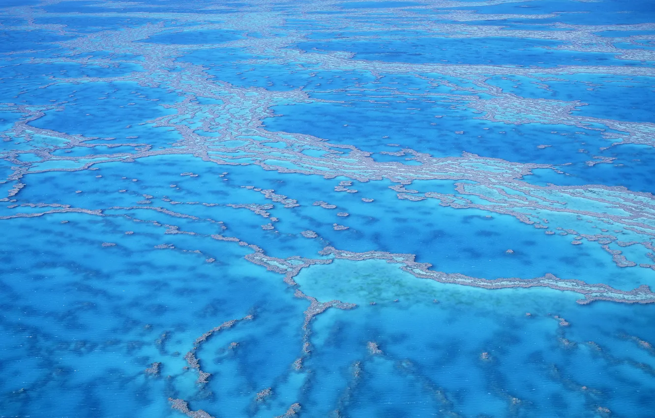 Photo wallpaper sea, water, shoal, Lazur