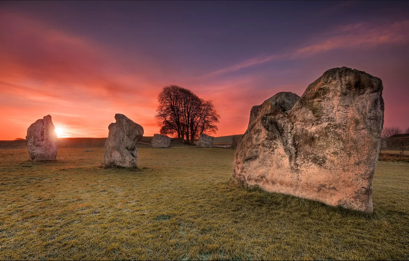 Photo wallpaper field, the sky, clouds, rays, trees, sunset, nature, stones
