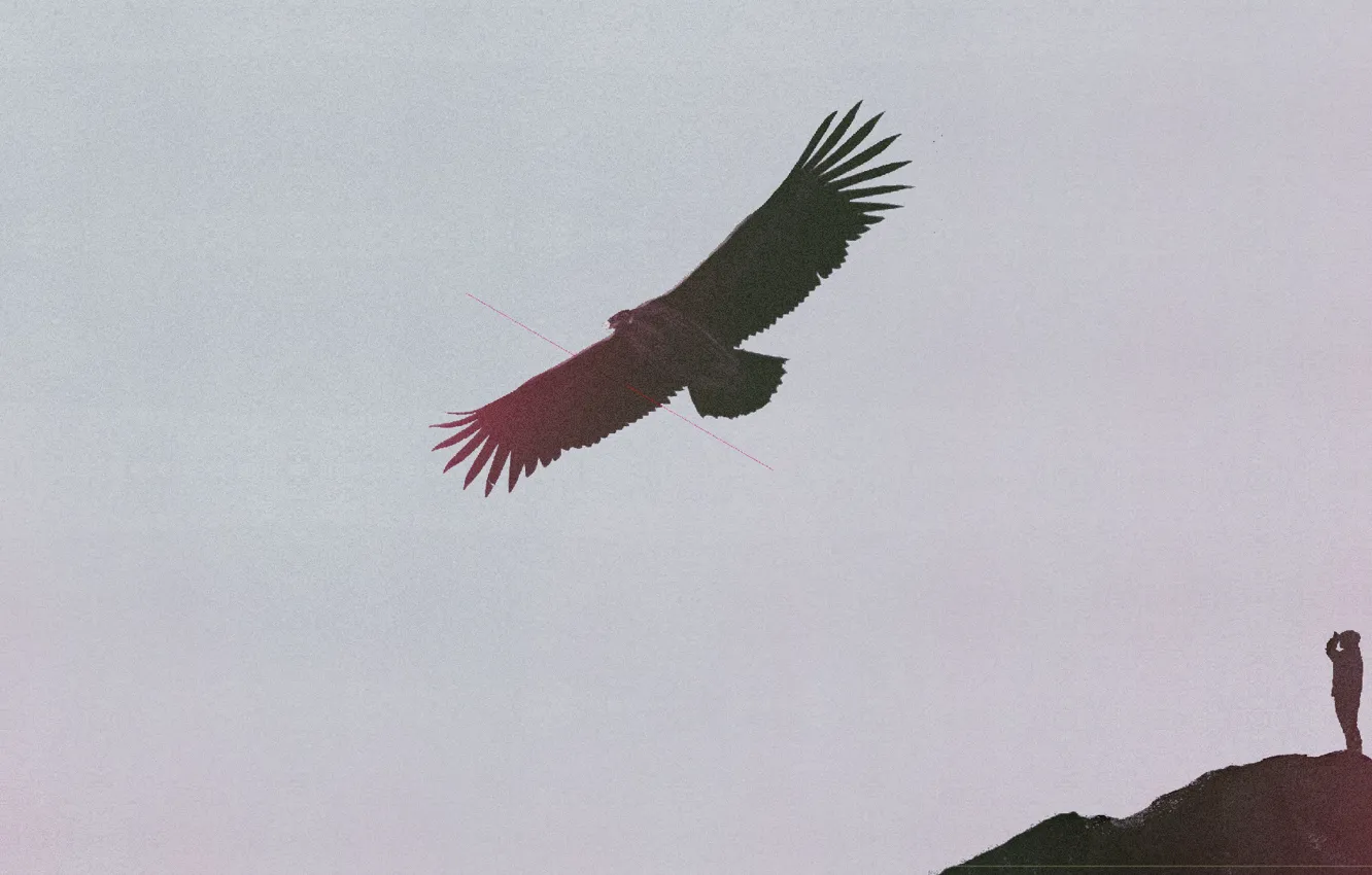 Photo wallpaper Music, Cover, Monstercat, Hunted, Jonny Rose, Priority One & TwoThirds