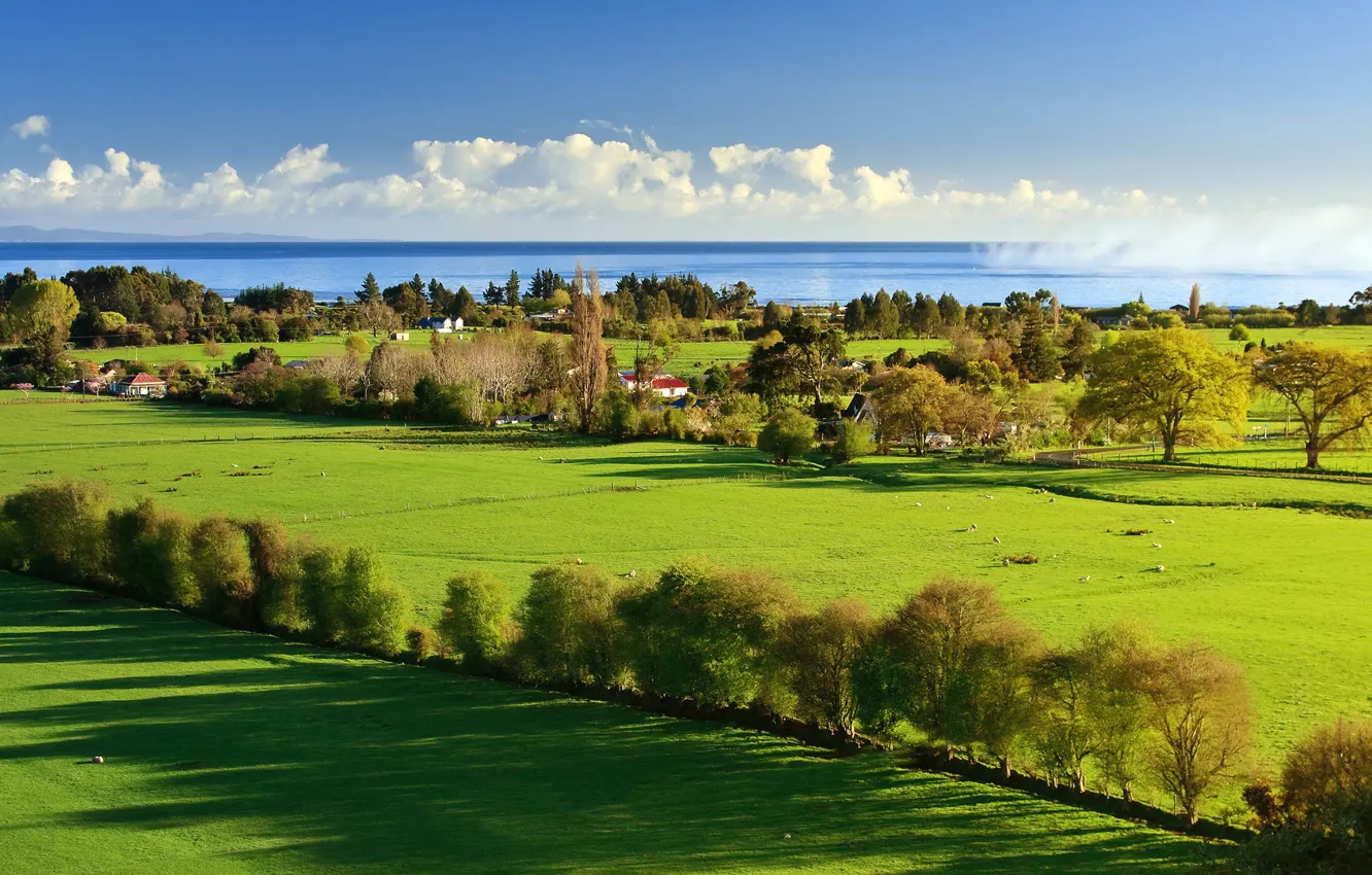 Photo wallpaper sea, greens, the sky, grass, water, clouds, light, trees