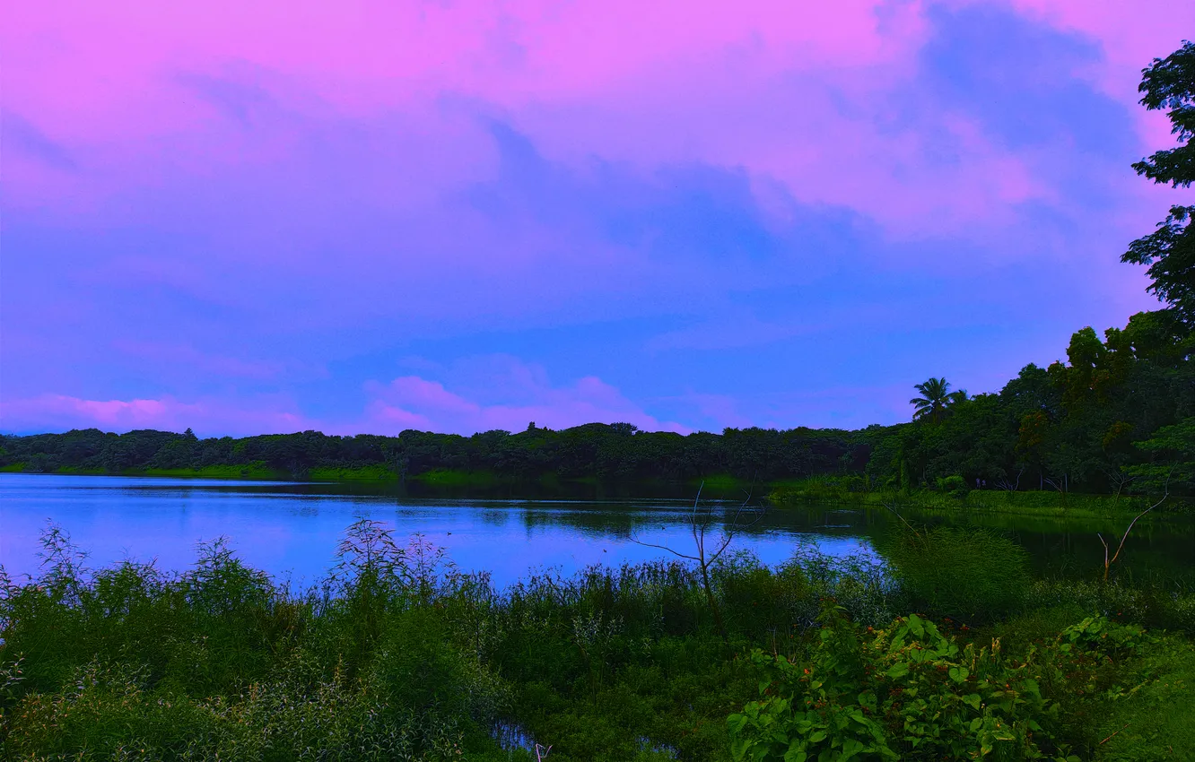 Photo wallpaper sky, trees, water, clouds, lake, morning, bushes, sunrise