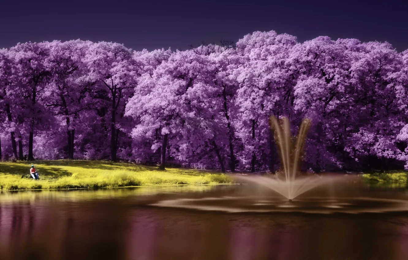 Photo wallpaper purple, landscape, lake, tree, lake, tree, scenery, purple