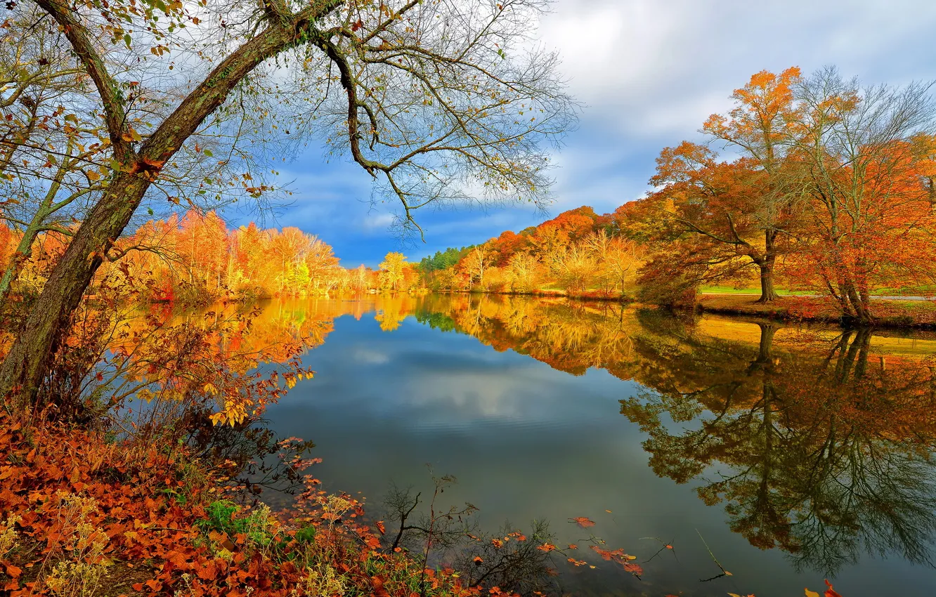 Photo wallpaper autumn, landscape, nature, lake