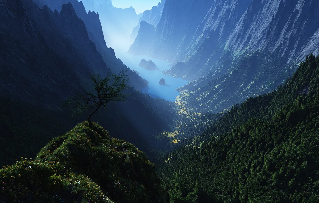 Photo wallpaper forest, mountains