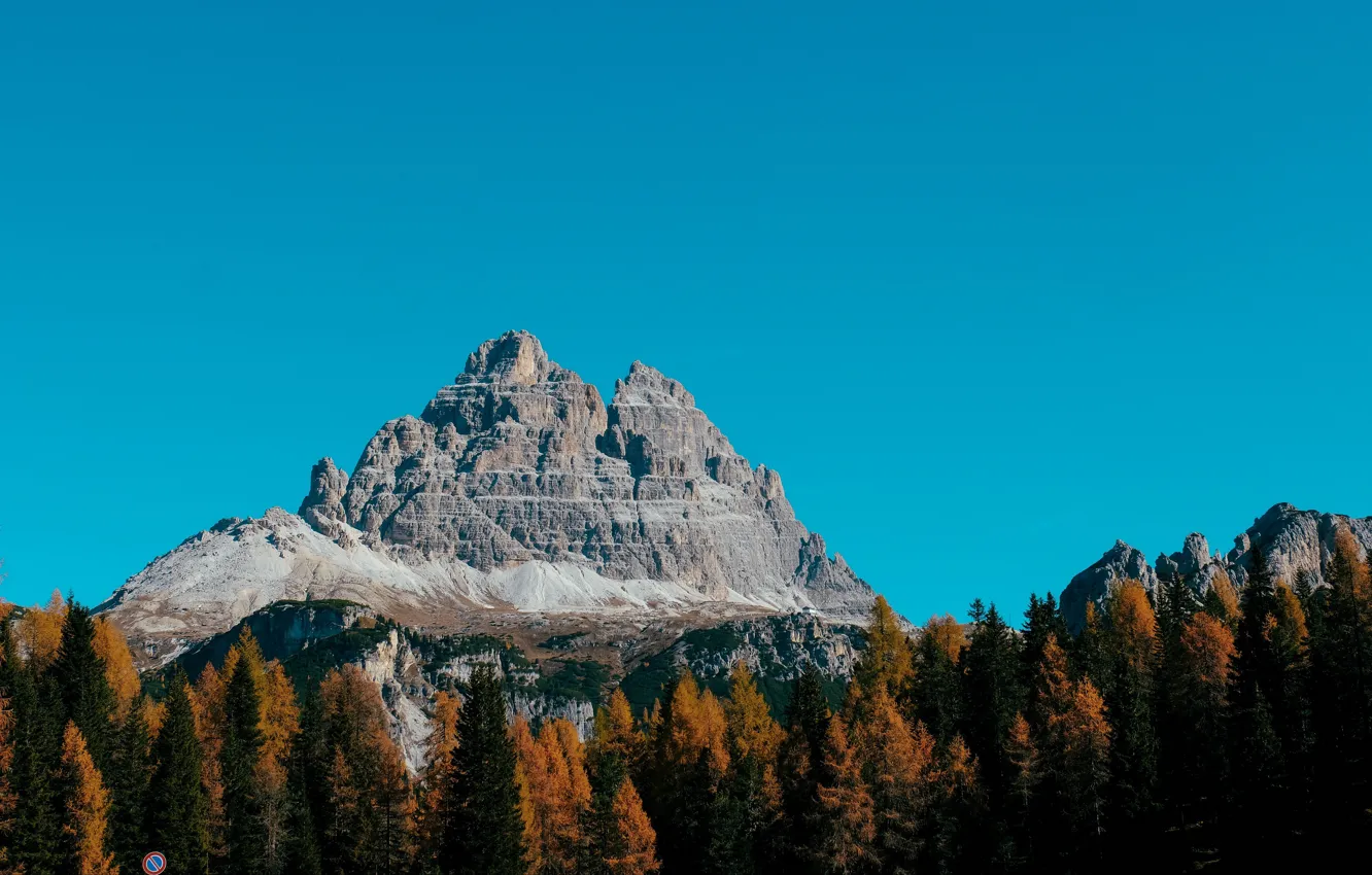 Photo wallpaper autumn, forest, the sky, trees, mountains