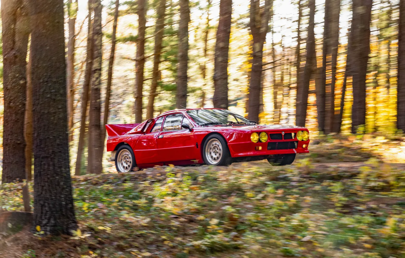 Photo wallpaper car, forest, Lancia, Rally, 1982, Lancia Rall Stradale 037 Stradale