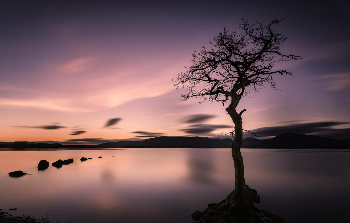 Photo wallpaper the sky, clouds, sunset, mountains, lake, stones, tree