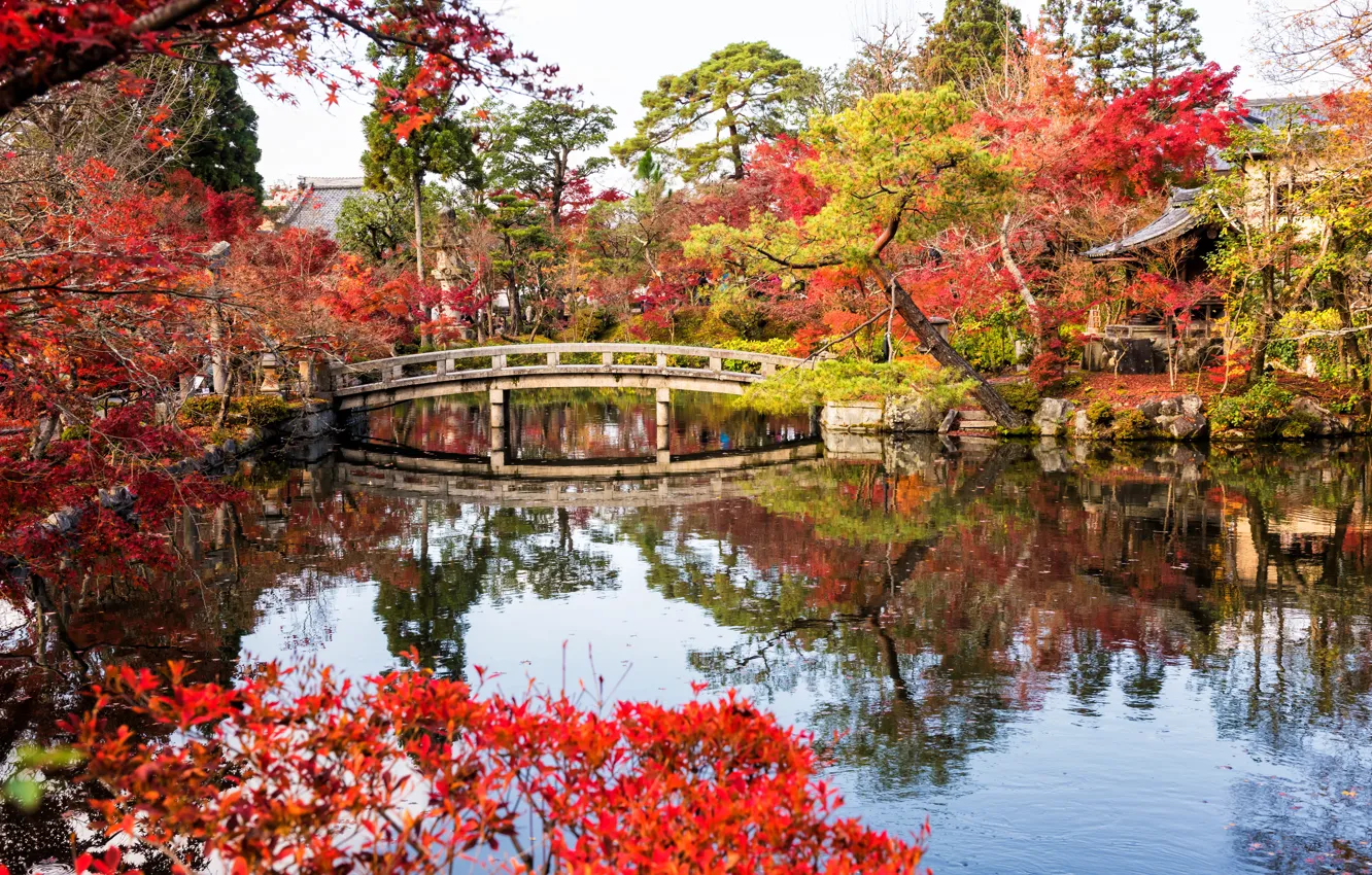 Photo wallpaper autumn, leaves, trees, bridge, lake, Park, Japan, Japan