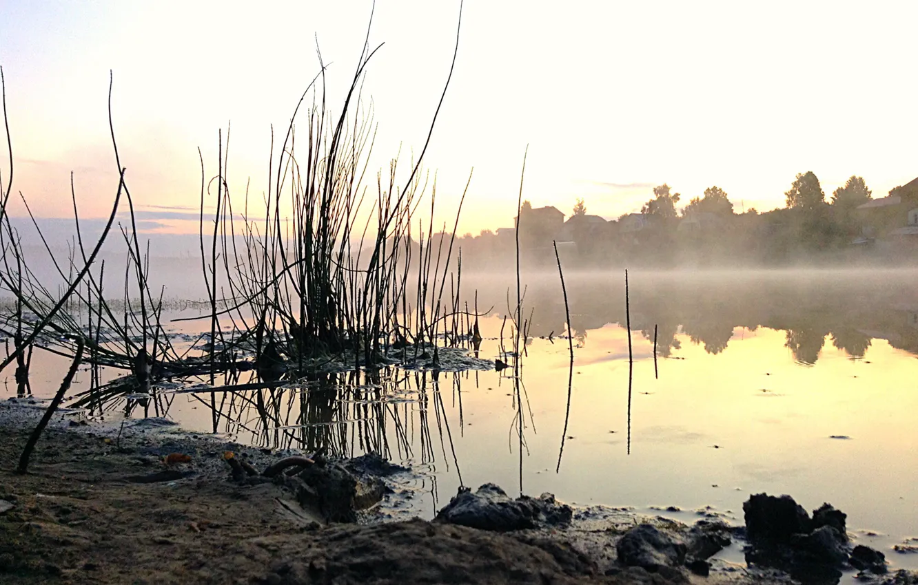 Photo wallpaper Water, Nature, Fog, Lake, Dawn