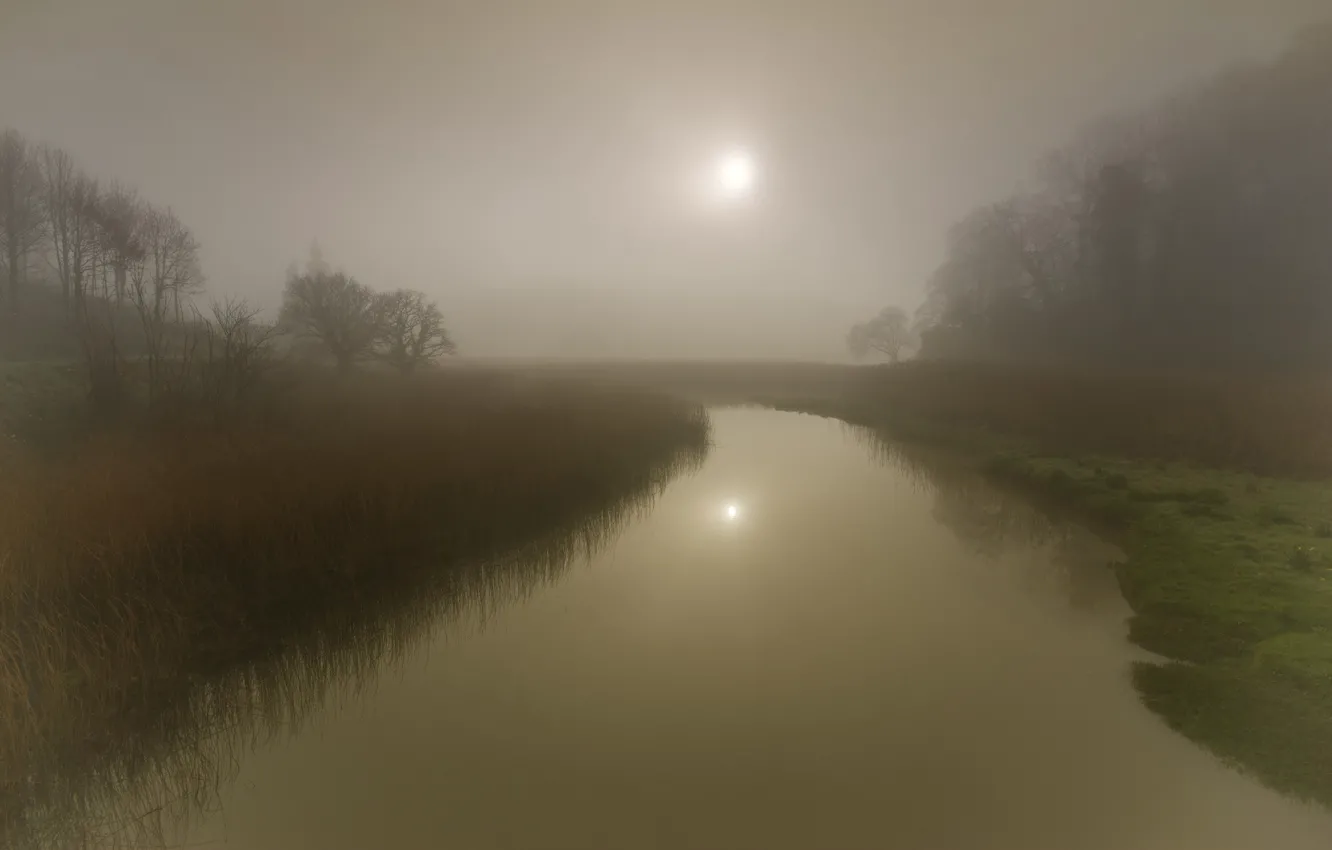 Photo wallpaper grass, the sun, trees, fog, reflection, river