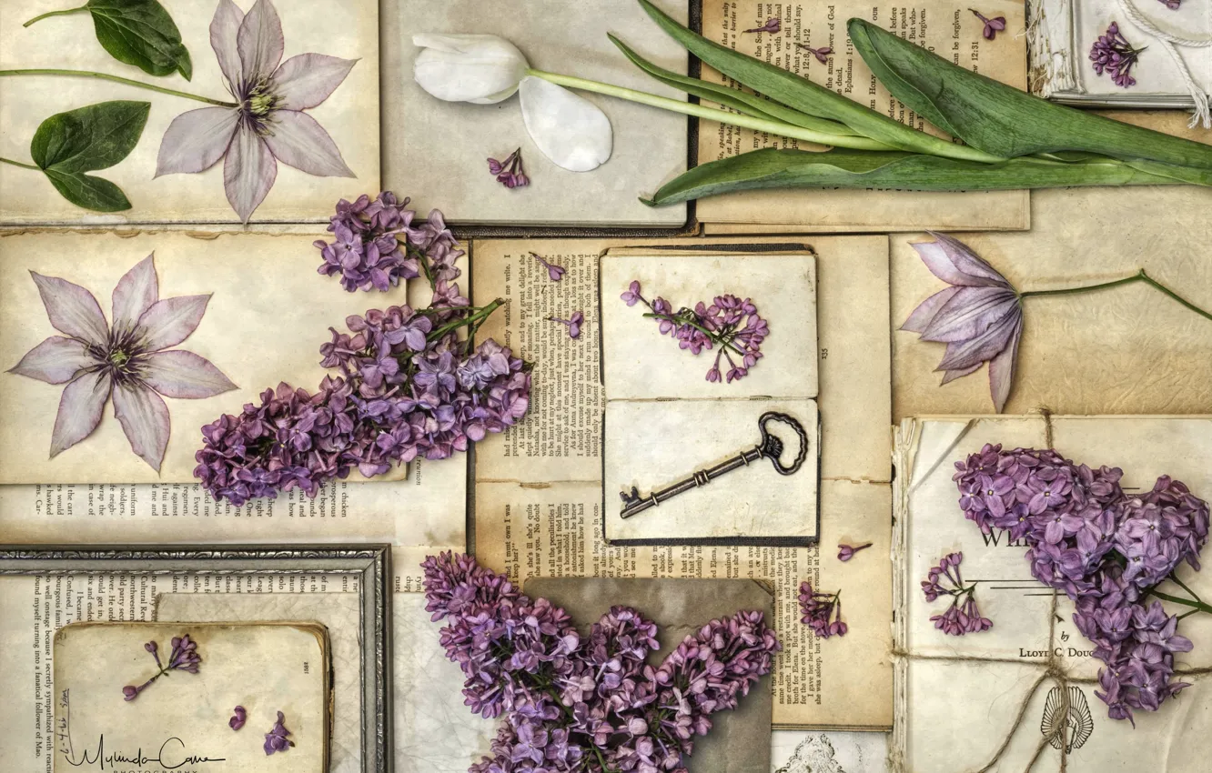 Photo wallpaper books, Tulip, key, vintage, lilac, clematis, herbarium