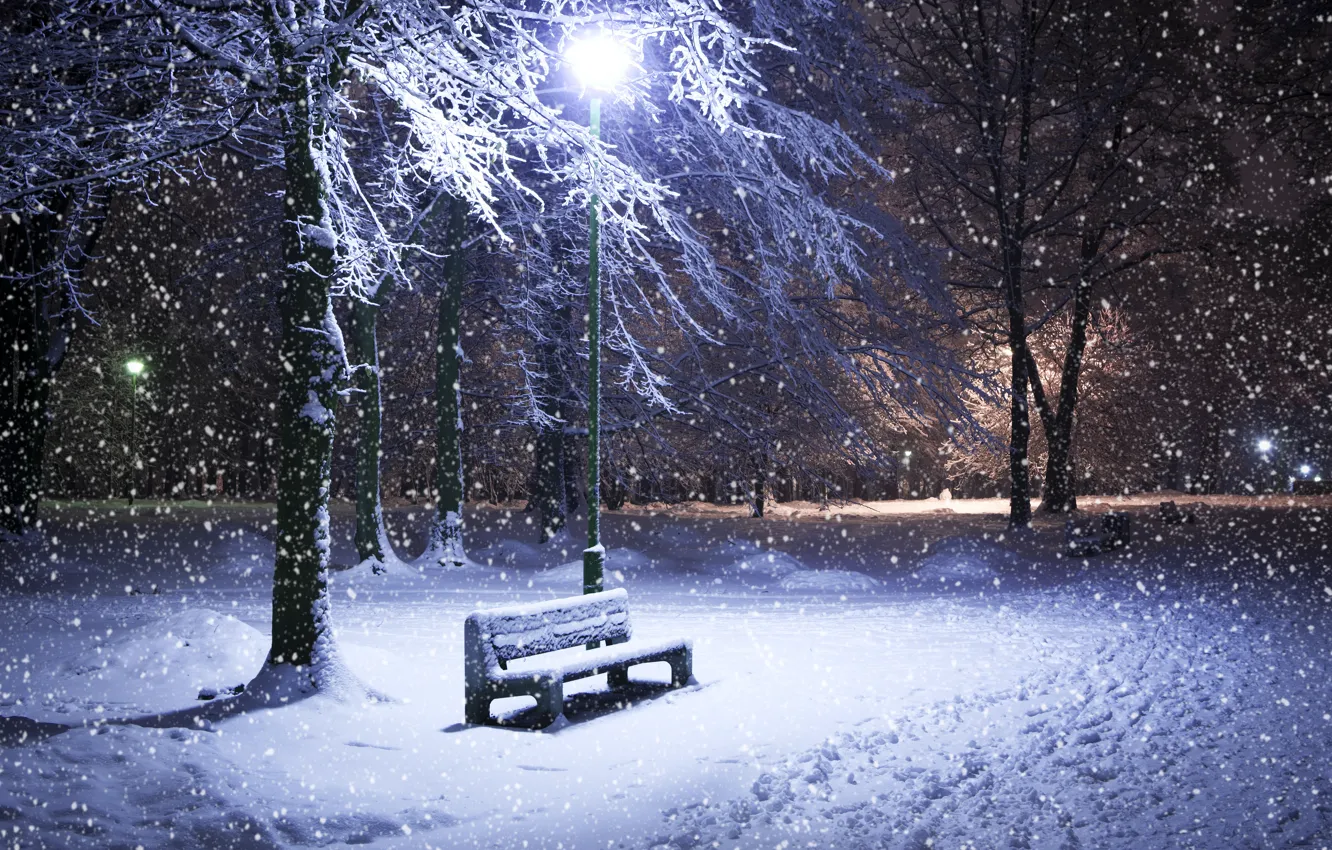 Photo wallpaper winter, snow, trees, night, Park, lantern, shop