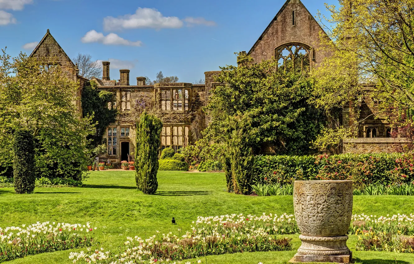 Photo wallpaper trees, nature, lawn, England, home, garden
