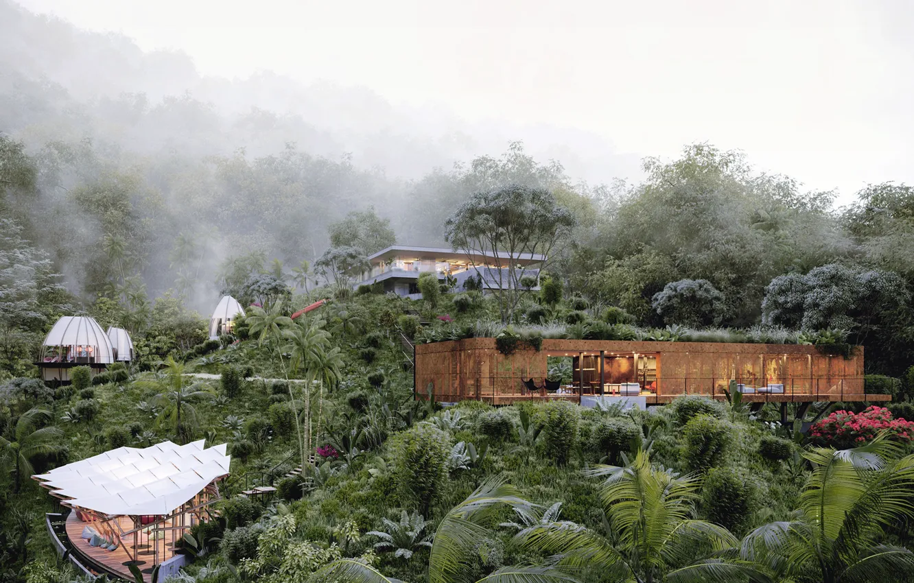 Photo wallpaper flowers, jungle, stage, structure, ART Muse