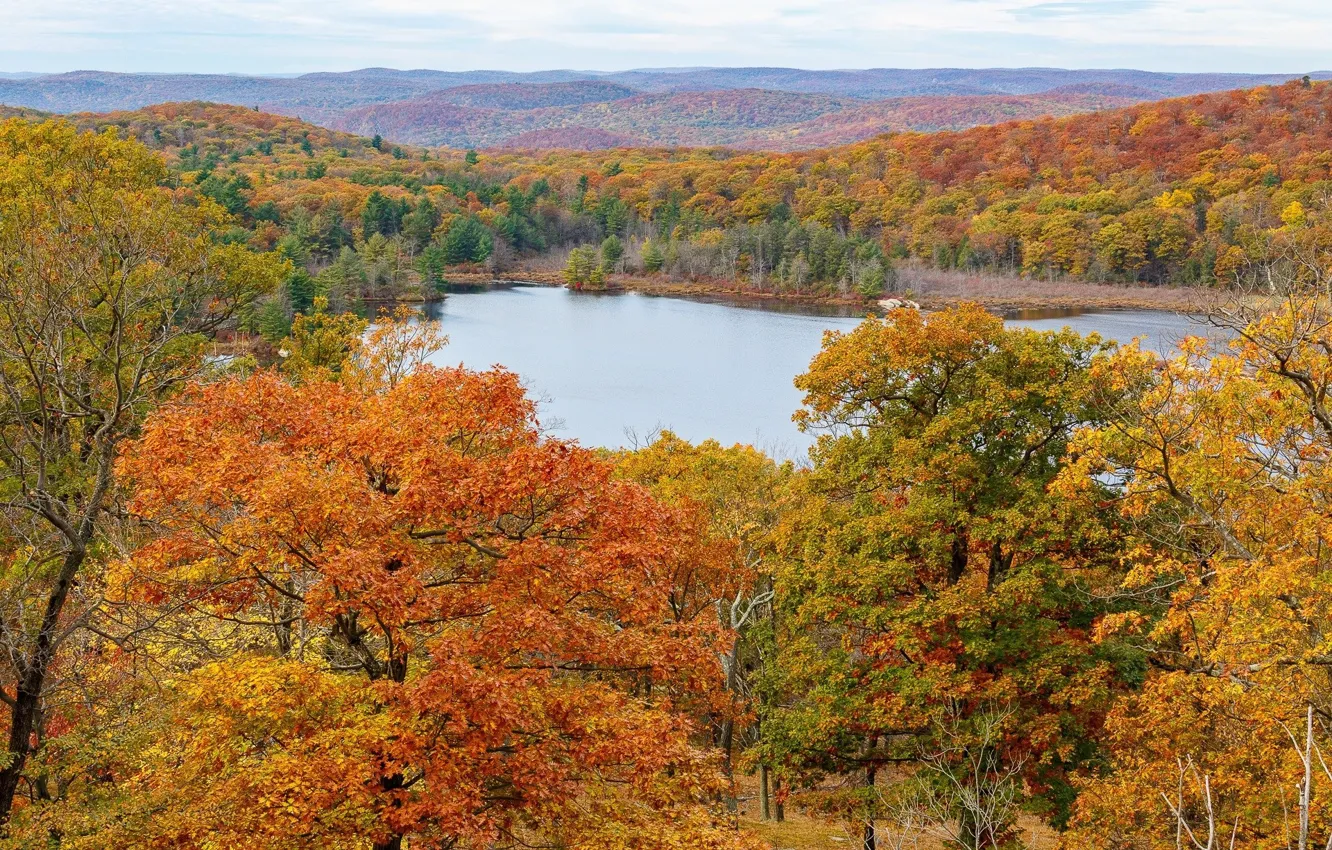 Photo wallpaper autumn, forest, lake