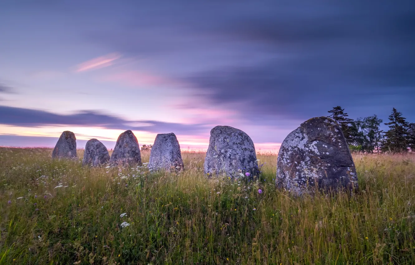 Photo wallpaper field, summer, stones