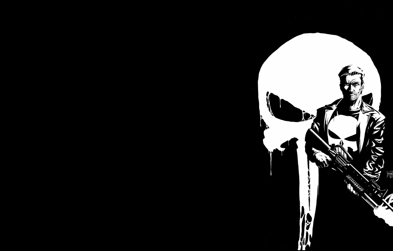 Photo wallpaper weapons, skull, the Punisher, Punicher