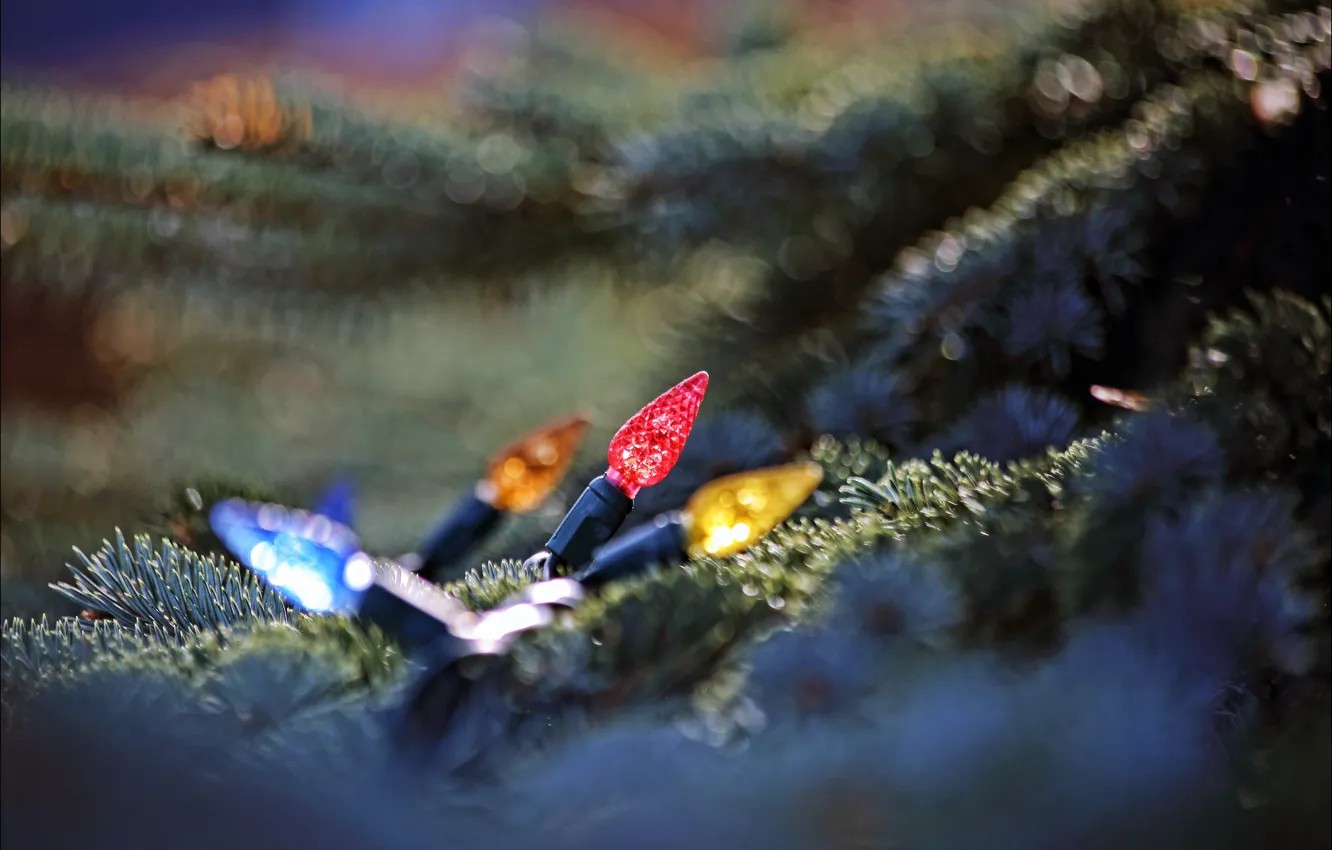Photo wallpaper tree, new year, Christmas, light bulb