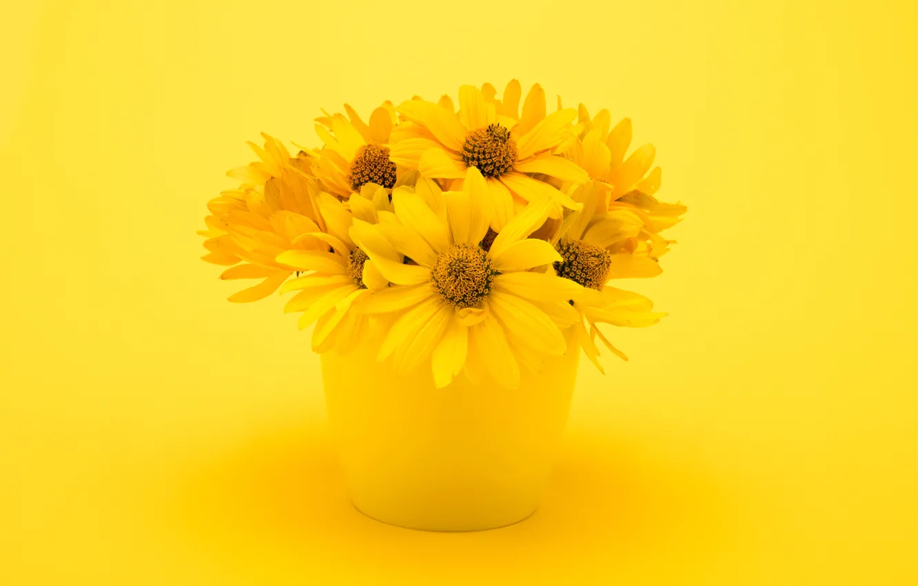 Photo wallpaper Flowers, bouquet, vase, chrysanthemum