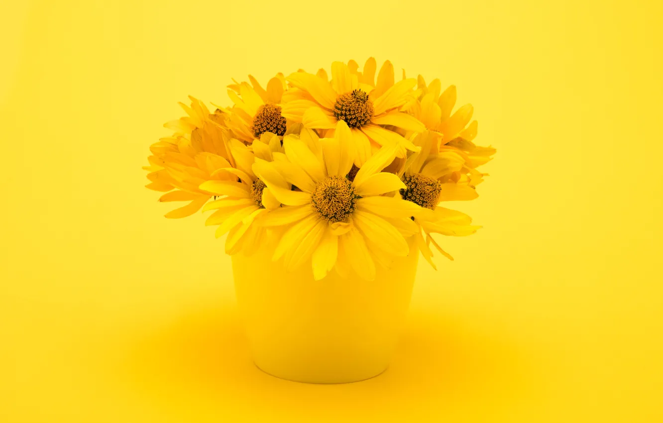 Photo wallpaper flowers, bouquet, vase, chrysanthemum