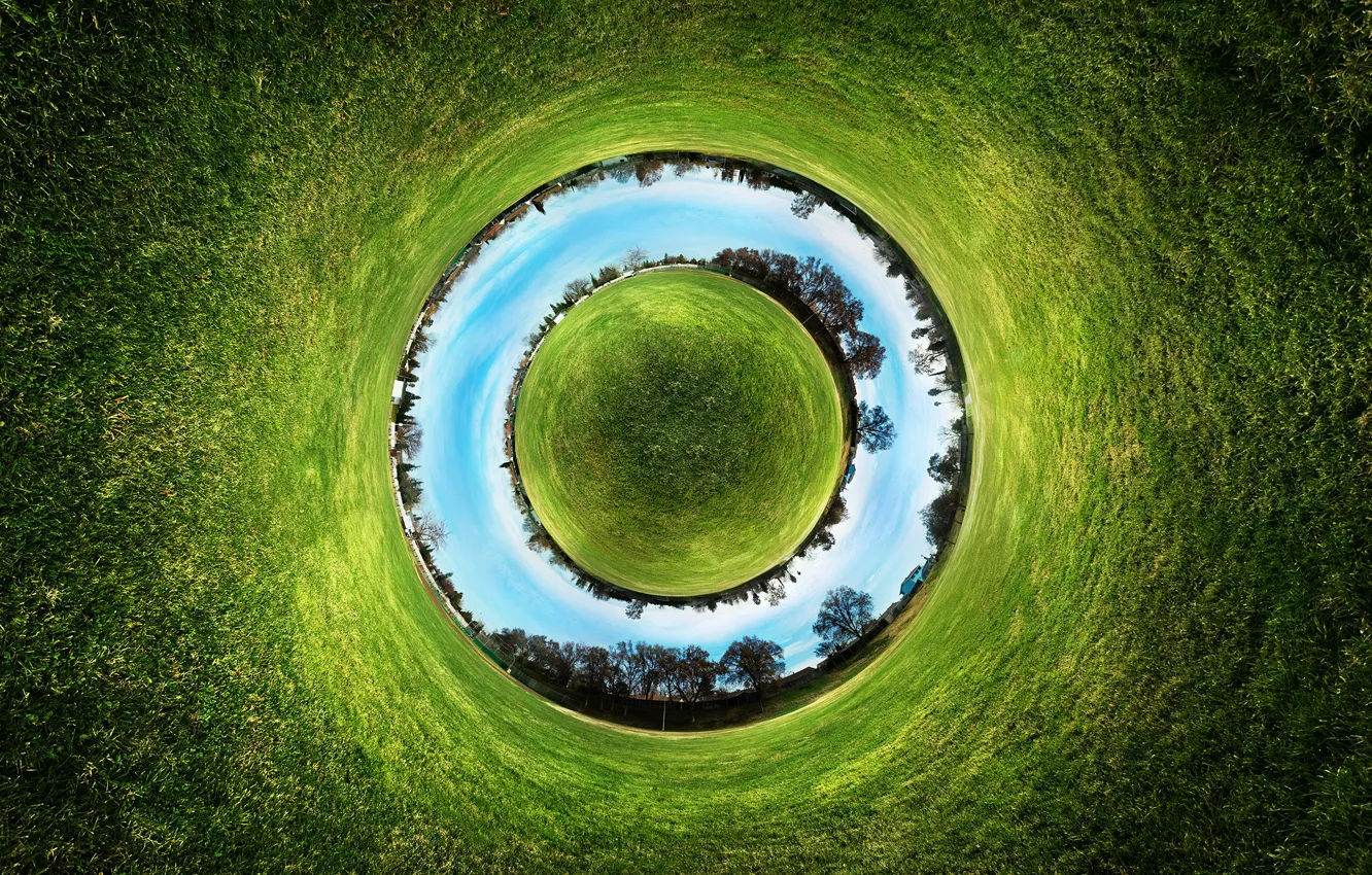 Photo wallpaper grass, earth, photos