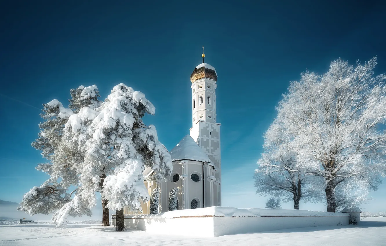 Photo wallpaper winter, frost, the sky, snow, trees, blue, in the snow, frost