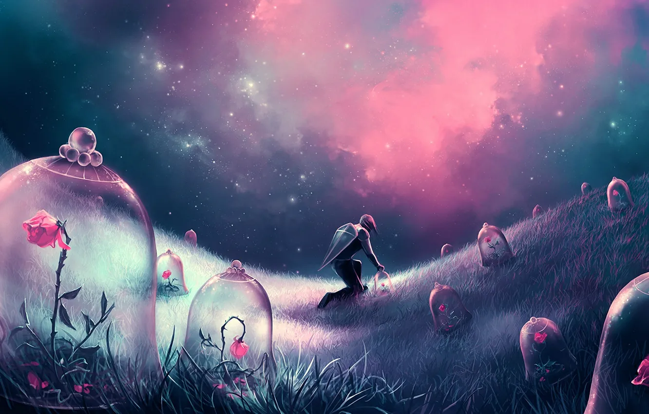 Photo wallpaper field, stars, flowers, night, people, roses, art, shield