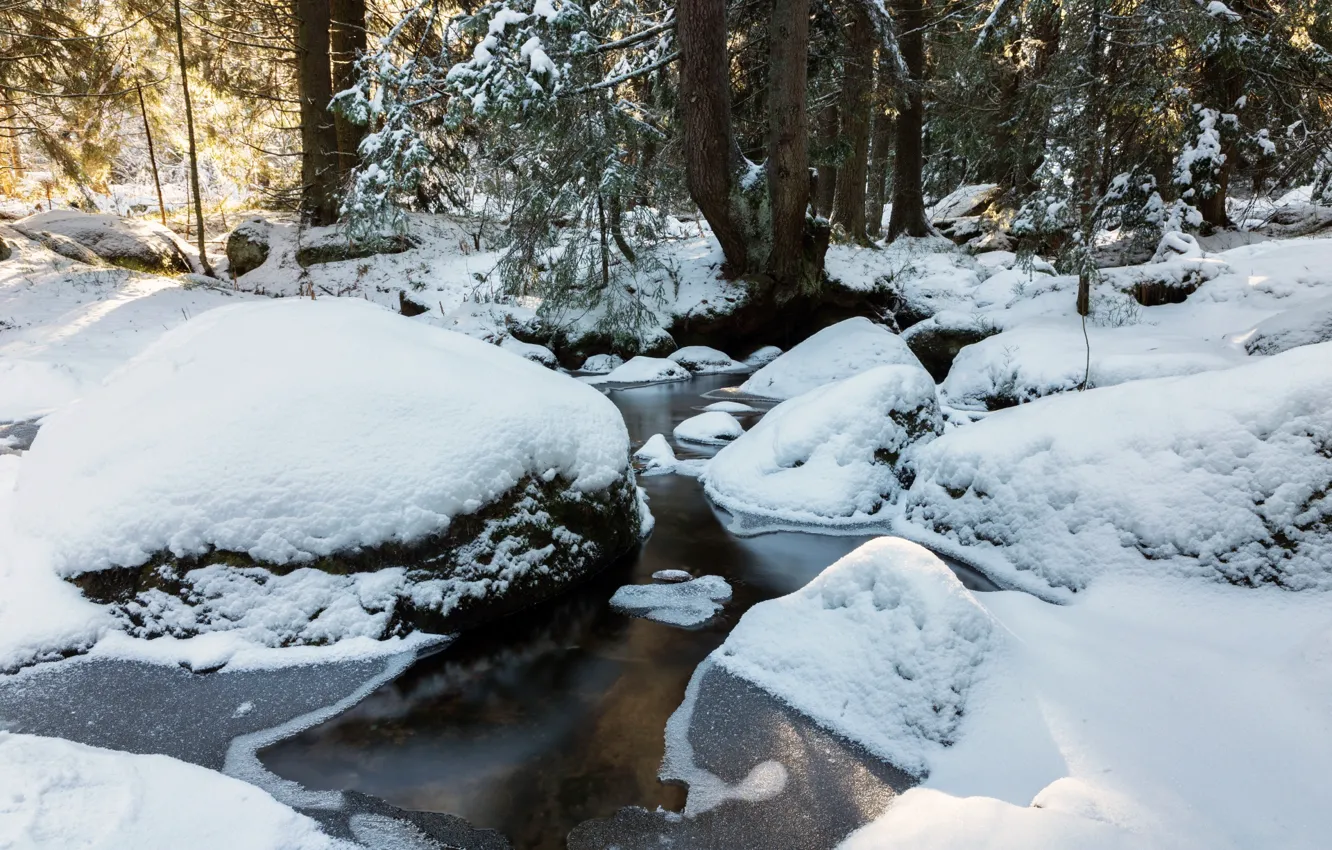 Photo wallpaper winter, forest, snow, trees, landscape, nature, stream, stones