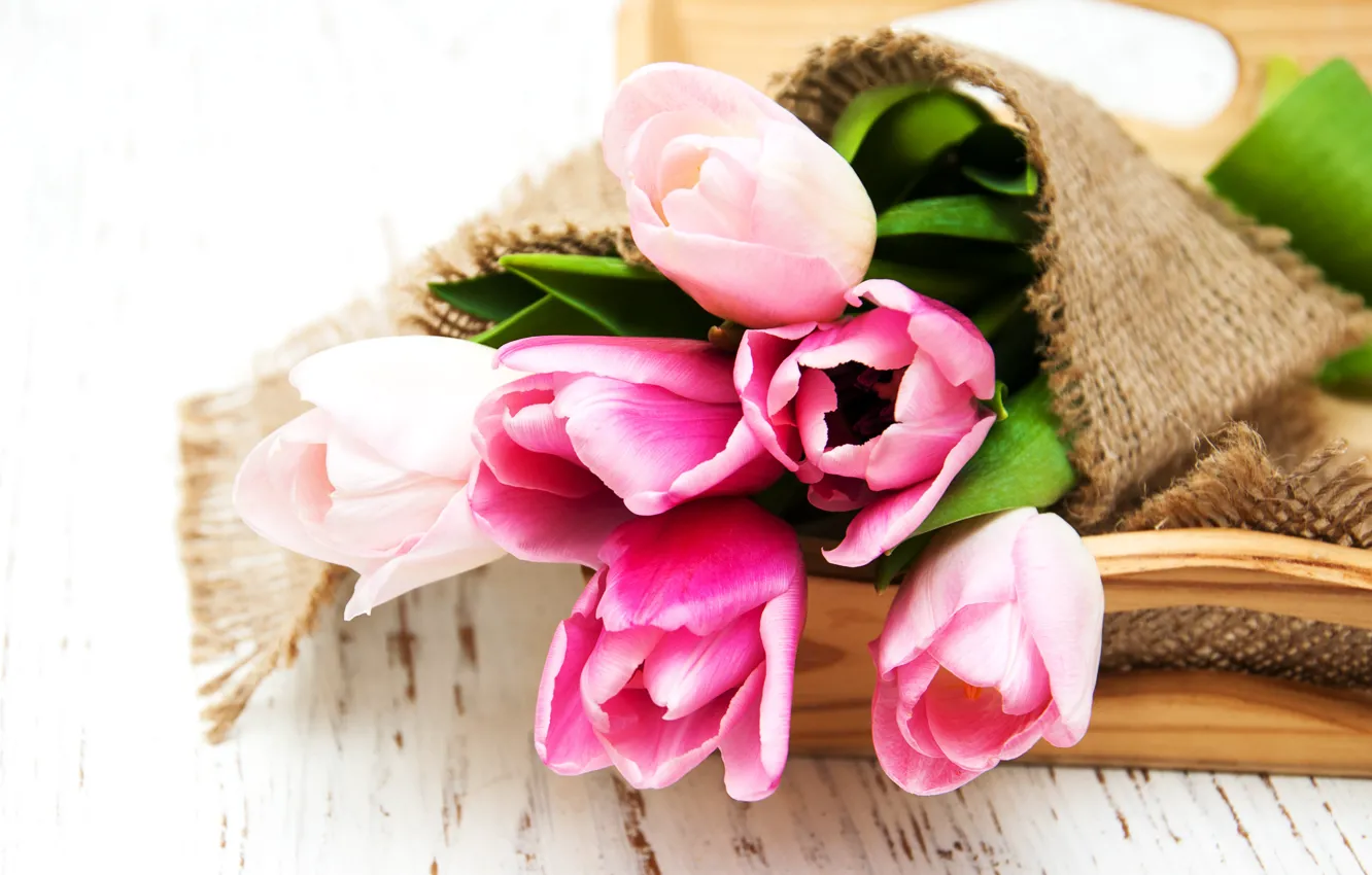 Photo wallpaper box, bouquet, tulips, pink, Olena Rudo