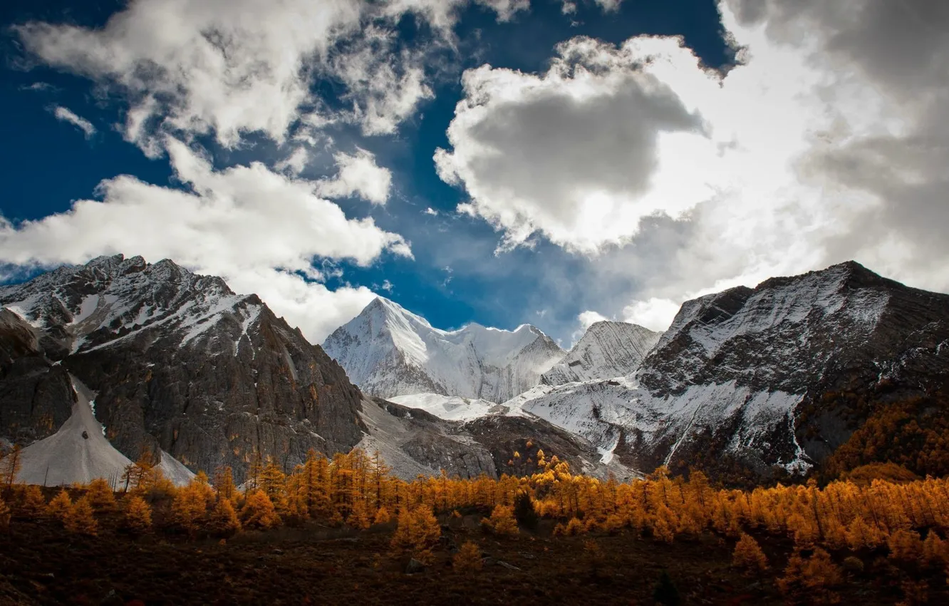 Photo wallpaper autumn, trees, trees, autumn, mountain range, Mountain range