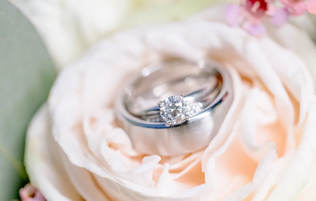 Photo wallpaper flower, ring, wedding, engagement