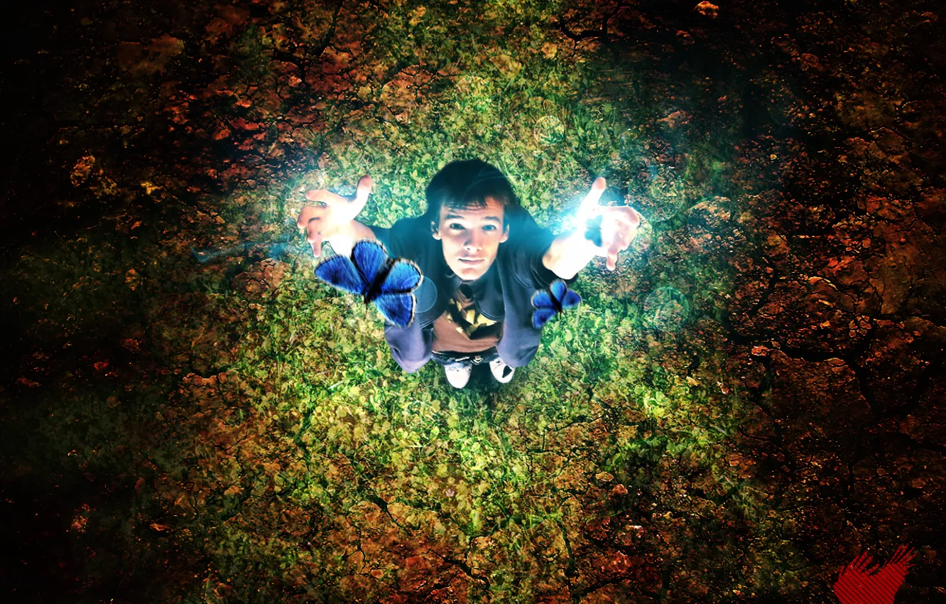 Photo wallpaper dream, magic, welcome, butterfly, miracle