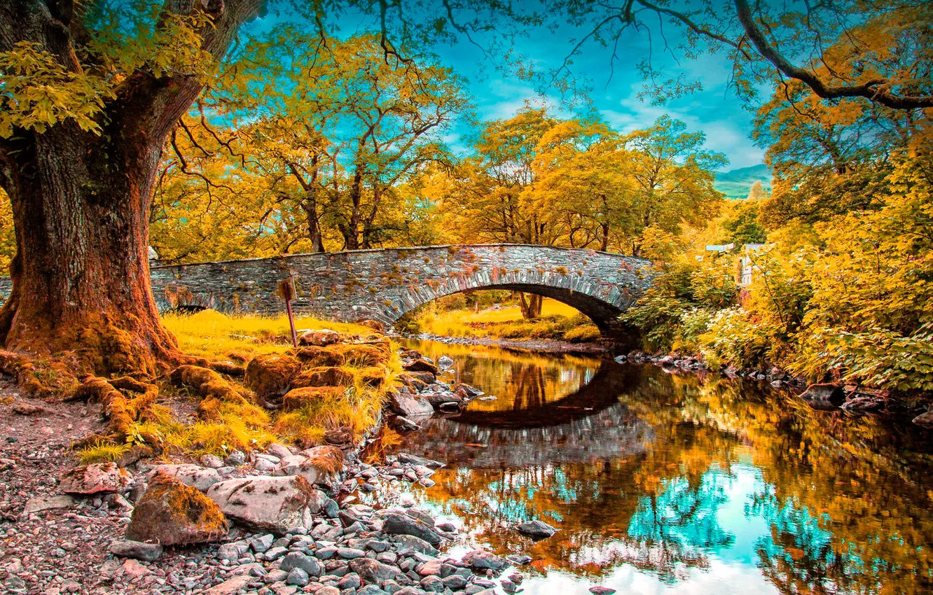 Photo wallpaper autumn, forest, the sky, clouds, trees, bridge, Park, river