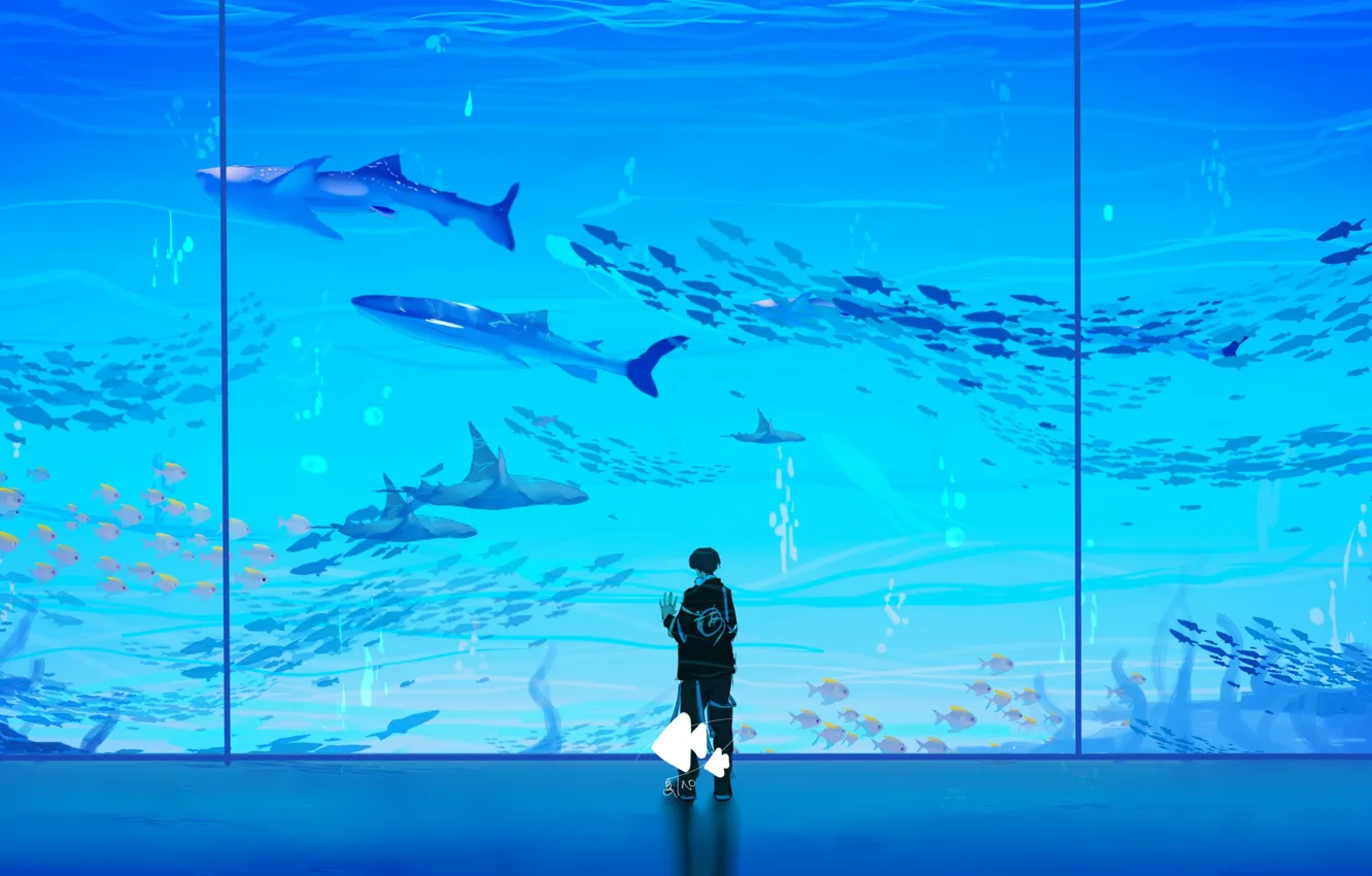 Photo wallpaper fish, guy, rays, aquarium