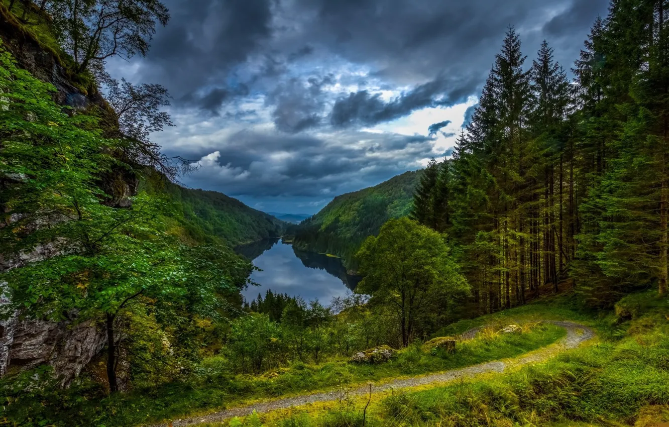 Photo wallpaper landscape, night, nature