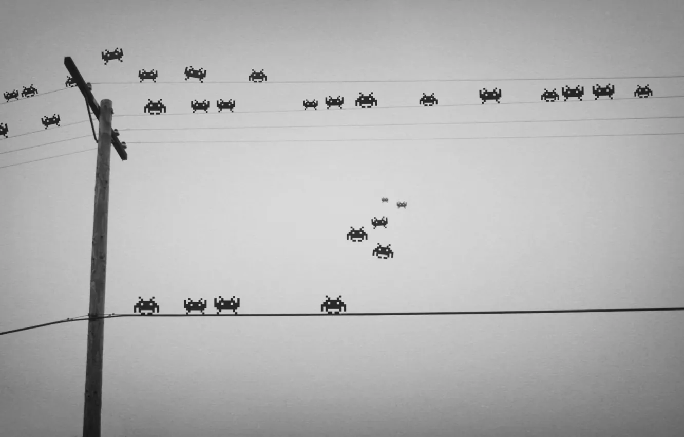 Photo wallpaper posts, wire, the game