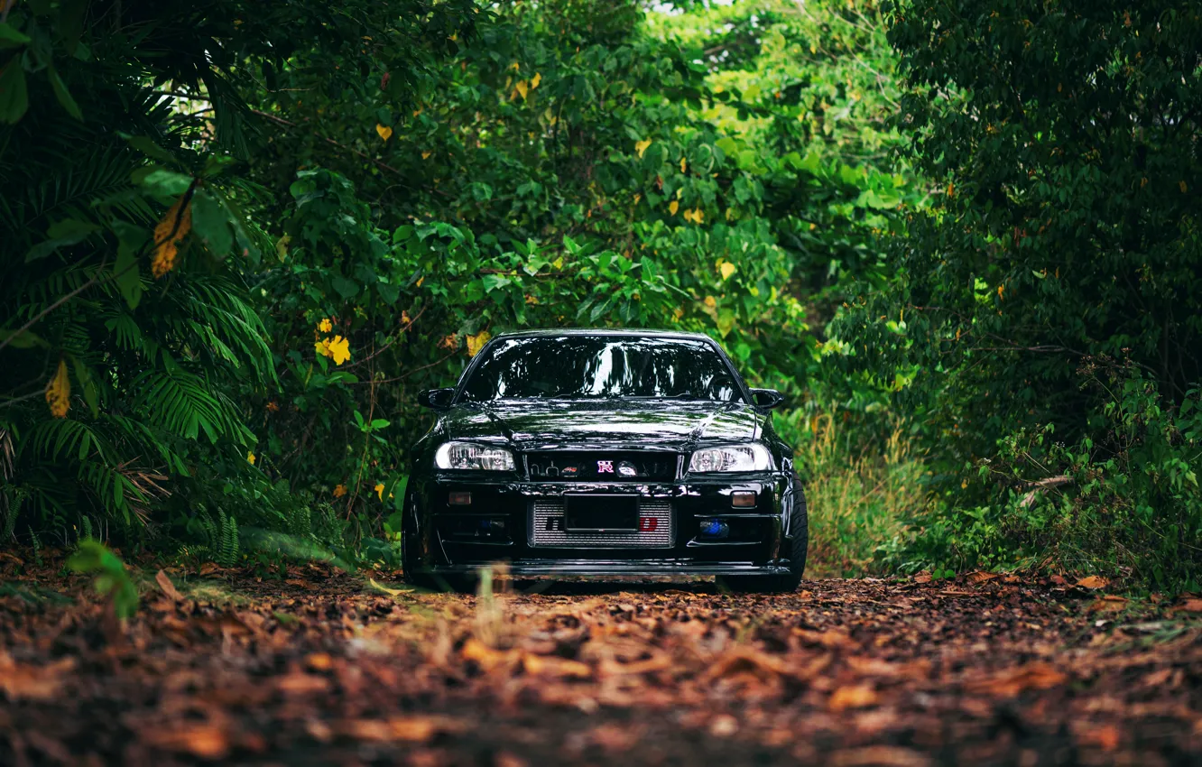 Photo wallpaper Black, Skyline, R34, Trees, Leaves