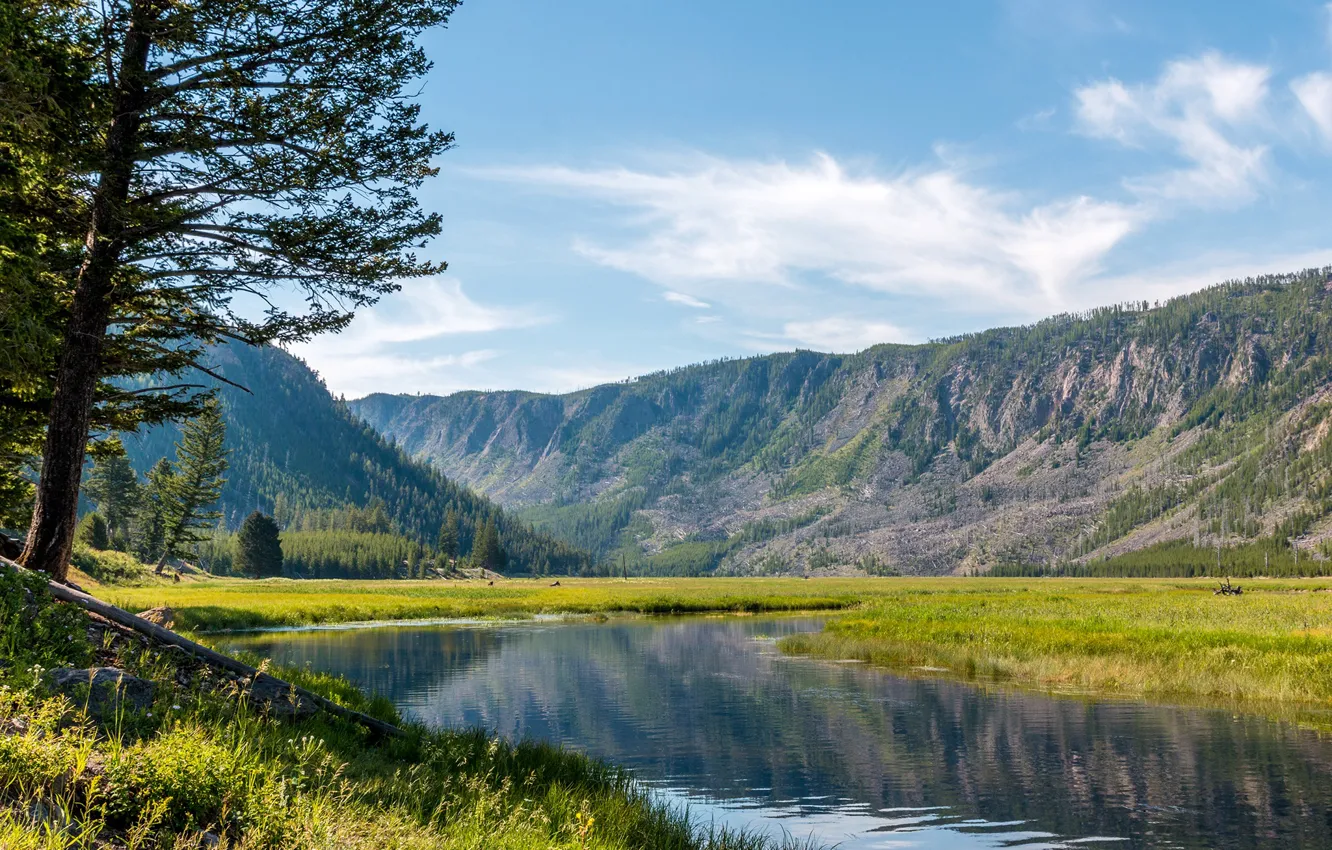 Photo wallpaper greens, forest, the sky, grass, the sun, clouds, trees, mountains