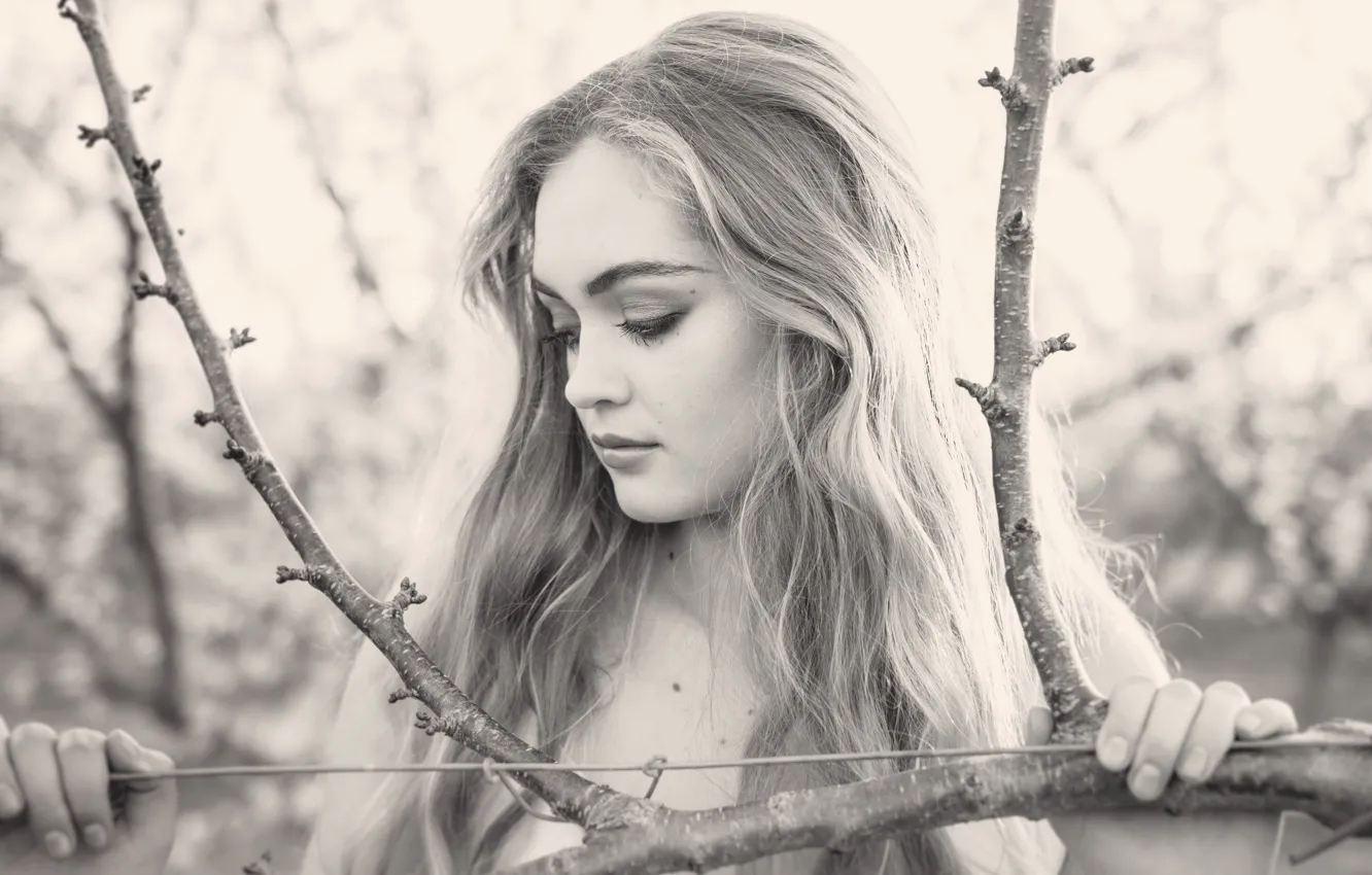 Photo wallpaper girl, portrait, Stella