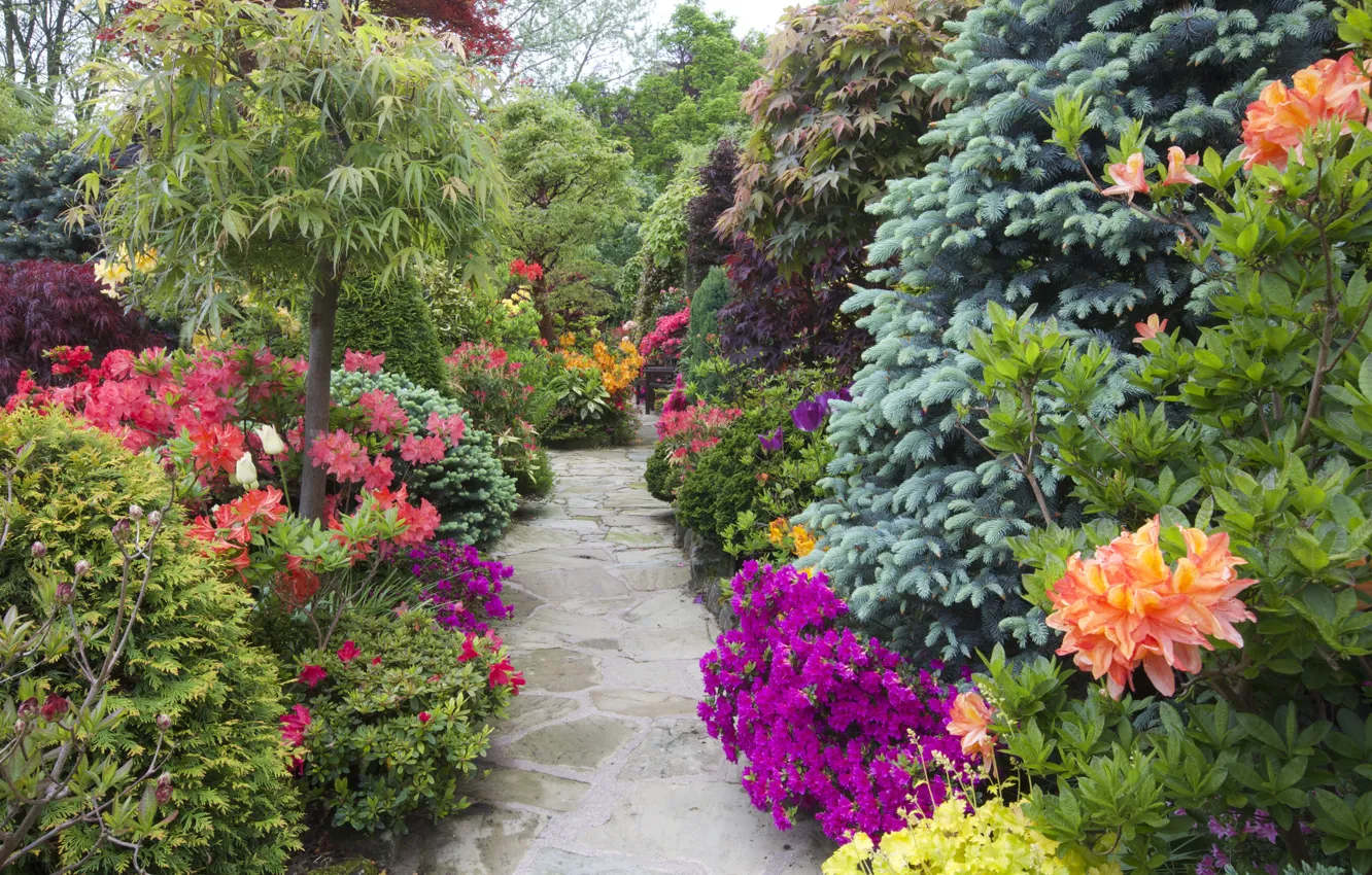 Photo wallpaper trees, flowers, Park, England, garden, track, the bushes, rhododendrons