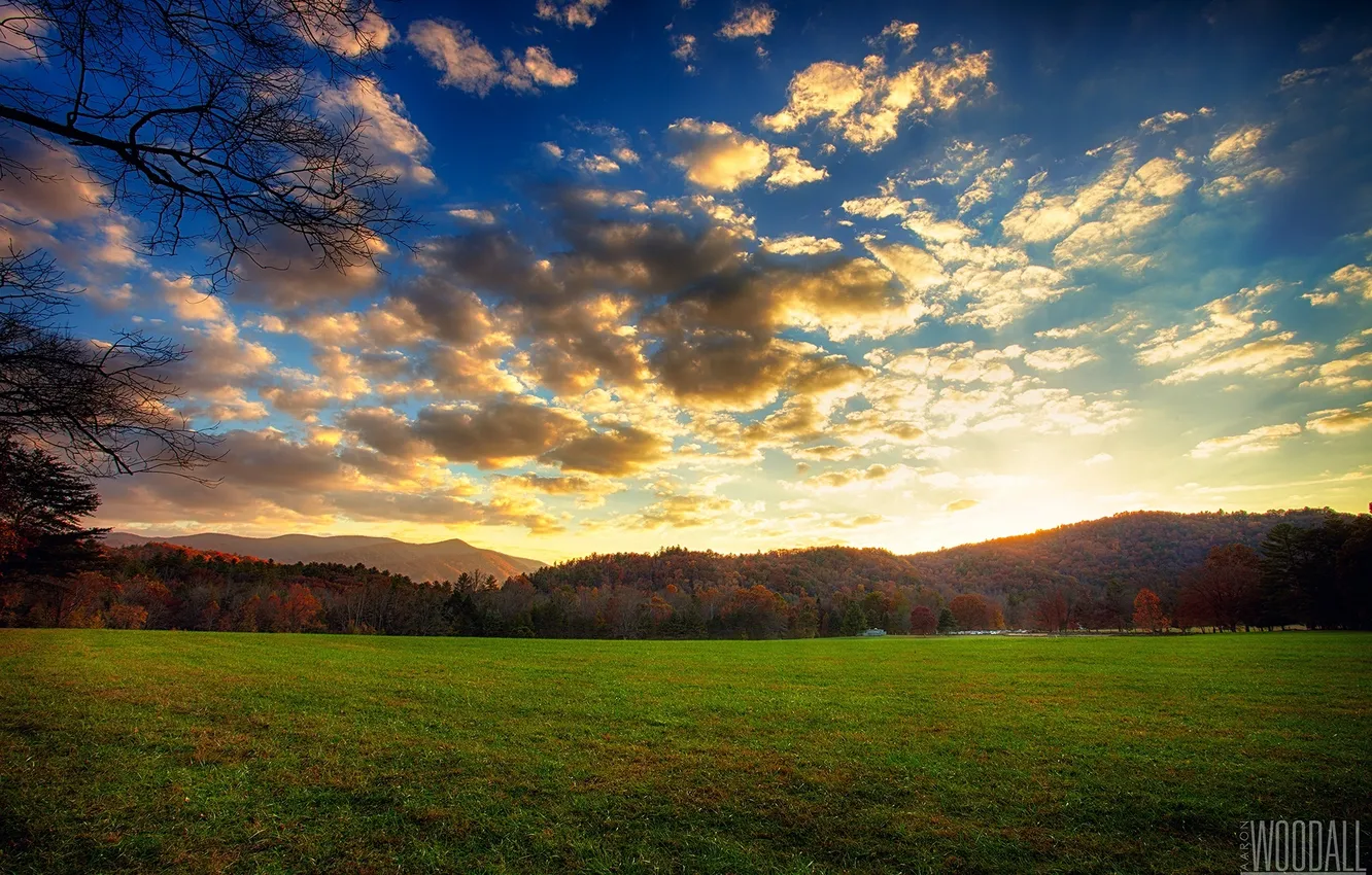 Photo wallpaper greens, forest, the sky, grass, clouds, sunset, mountains, meadow