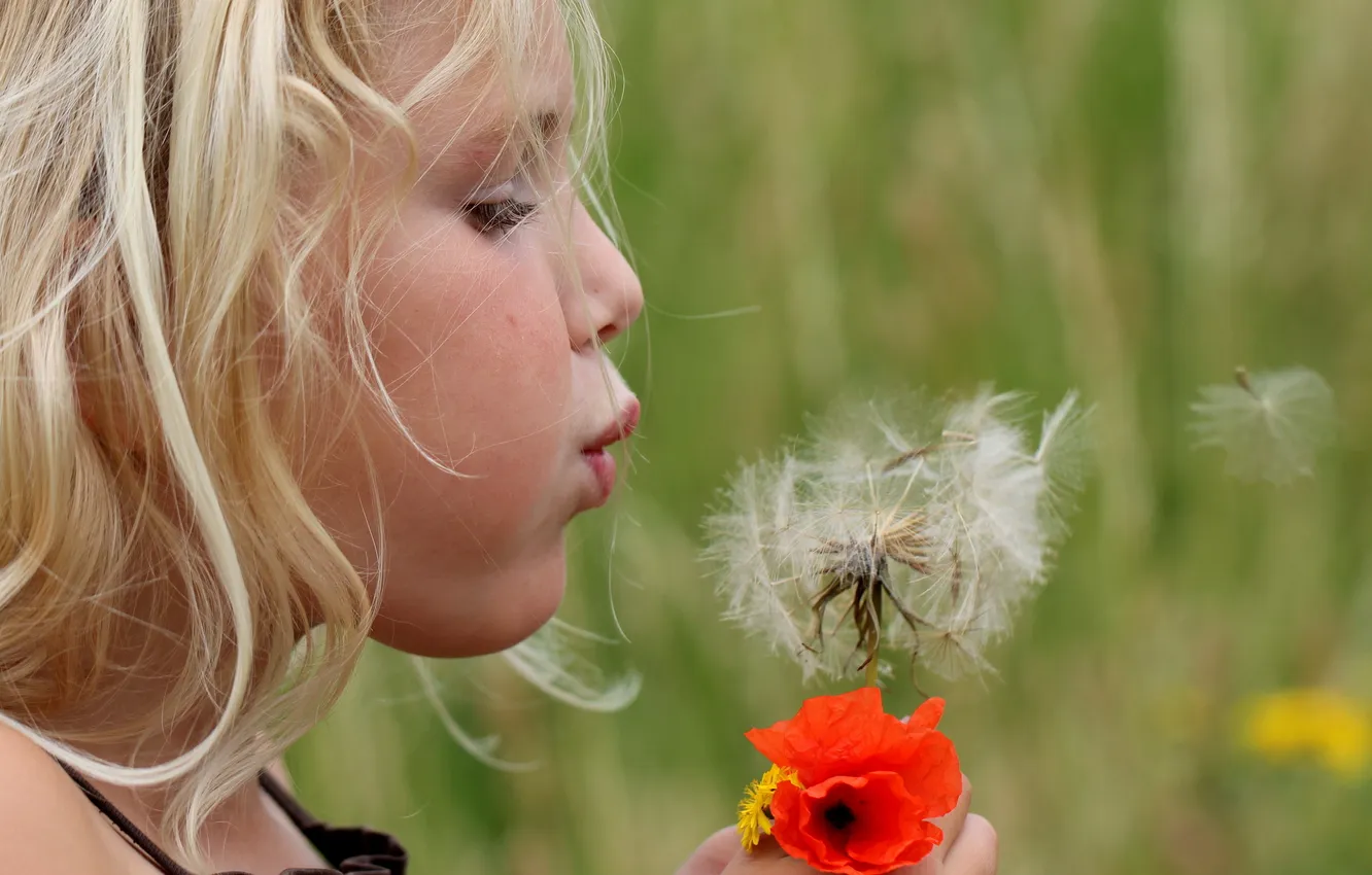 Photo wallpaper mood, dandelion, girl