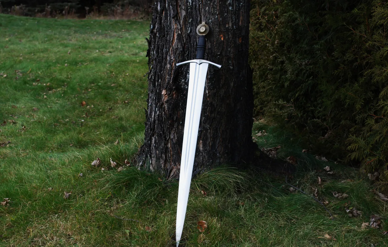 Photo wallpaper nature, weapons, steel, sword