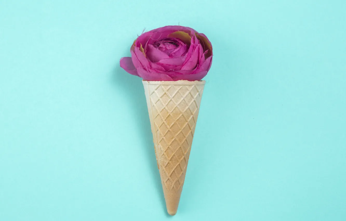 Photo wallpaper background, blue, pink, rose, Bud, waffle cone