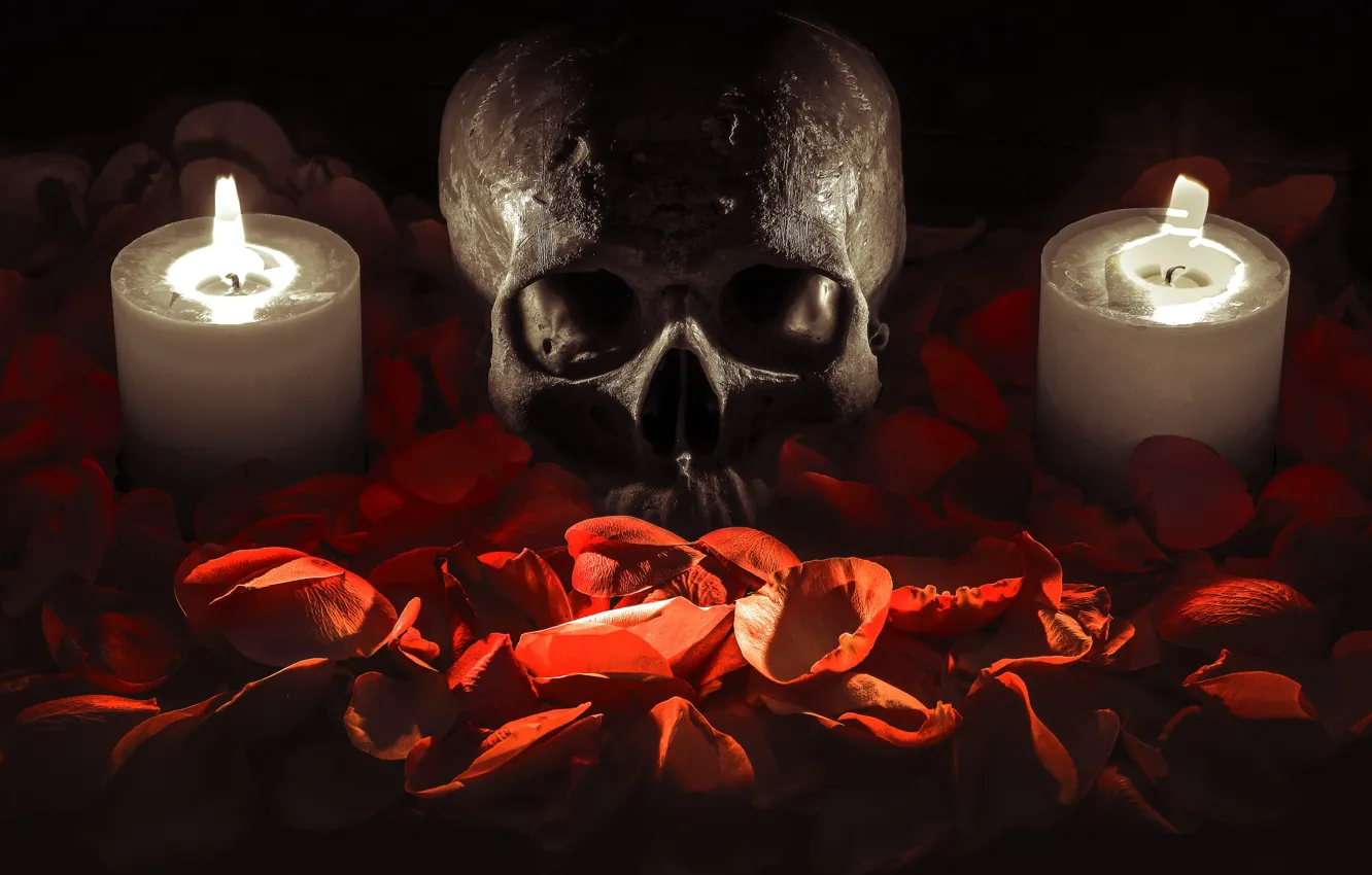 Photo wallpaper background, skull, candles