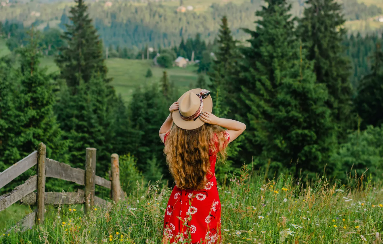 Photo wallpaper forest, summer, grass, girl, nature, pose, mood, the fence