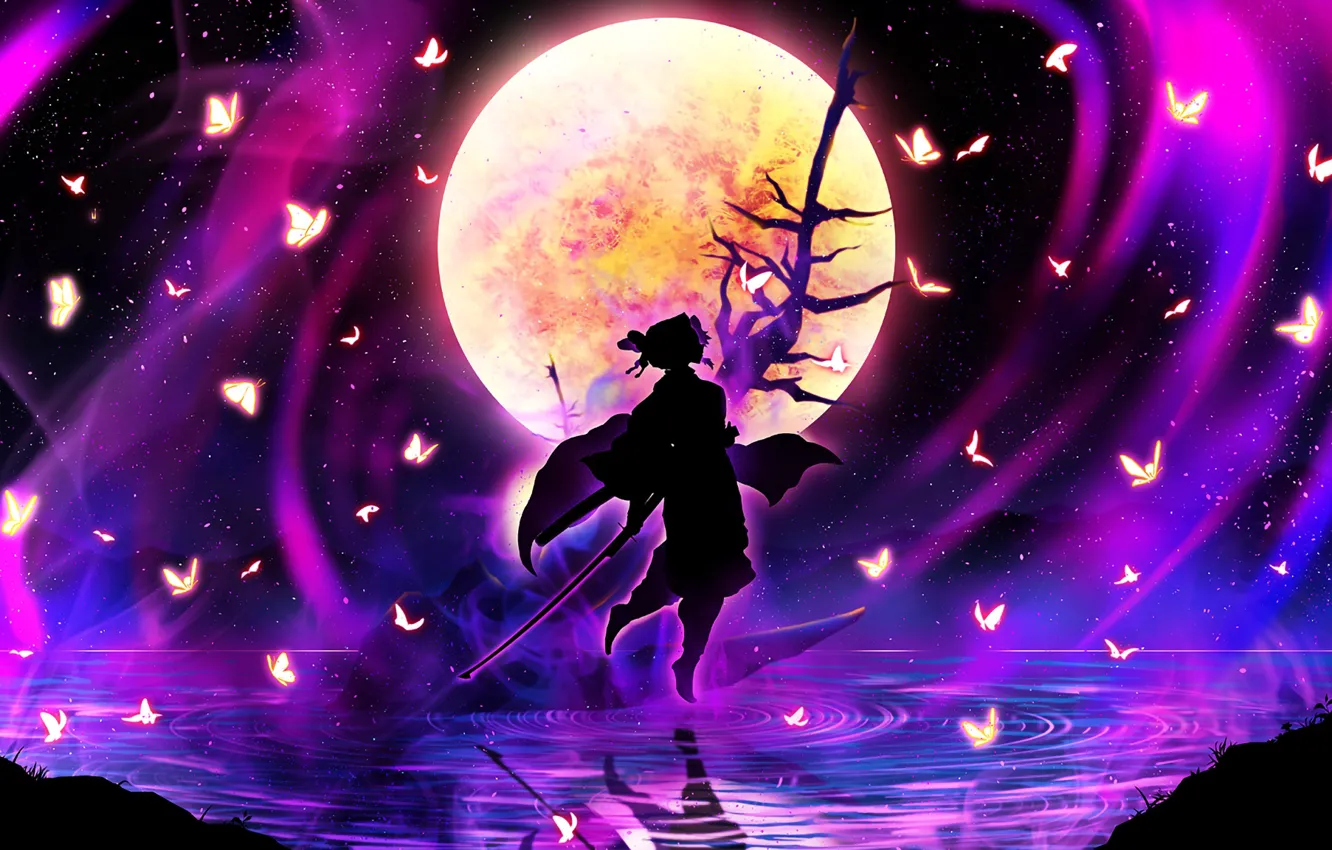 Photo wallpaper girl, night, the moon, silhouette, The Blade Cleaves Demons