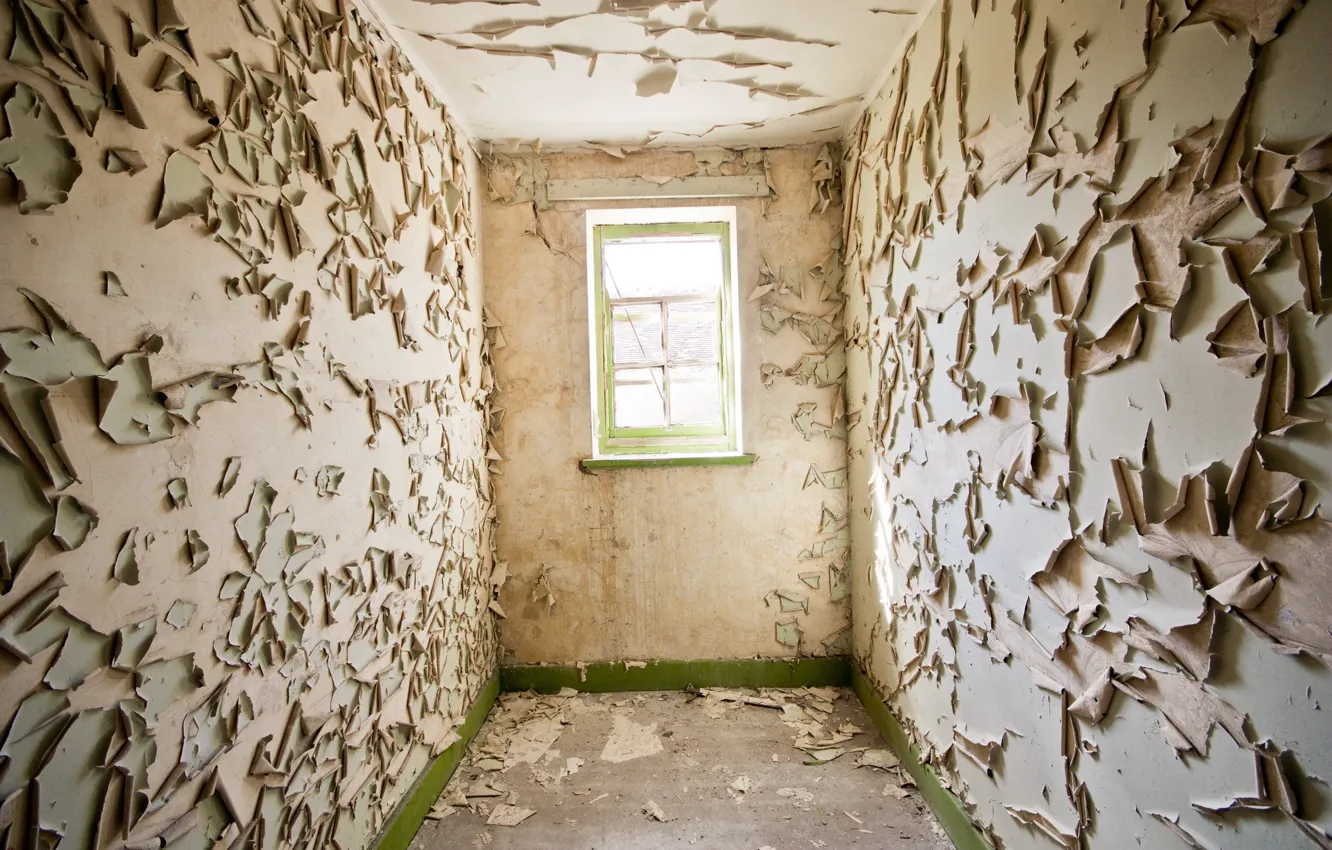 Photo wallpaper room, interior, window