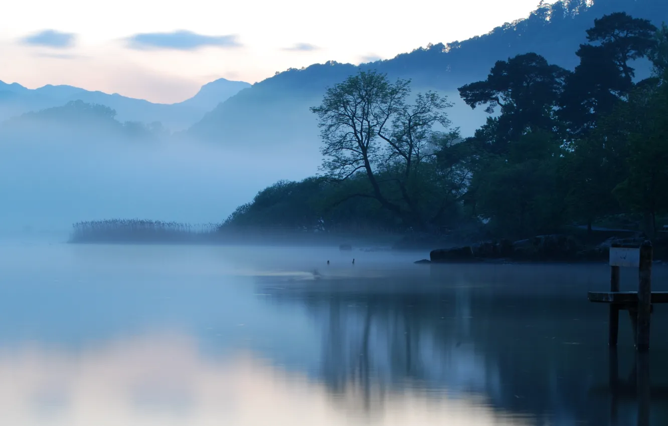 Photo wallpaper water, morning, fog, Lake